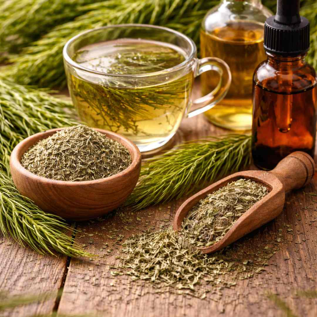 Posušena njivska preslica v leseni posodici in zajemalki na rustikalni leseni mizi, ob njej skodelica sveže pripravljenega presličinega čaja in sveži zeleni poganjki preslice v naravni svetlobi.